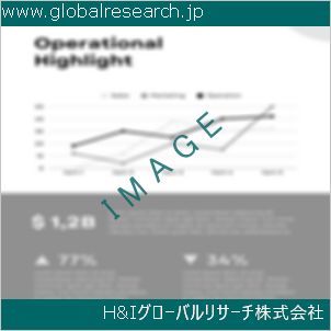 グローバルリサーチ調査資料のイメージ